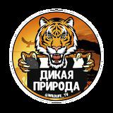 Дикая природа 🐯 - Telegram канал