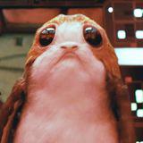 Порг против Макинроя - Telegram канал