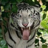 Жизнь на Земле 🌎 - Telegram канал