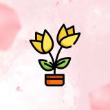 Цветочный рай - Telegram канал