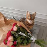 Для твоих бывших🍷🖤 - Telegram канал