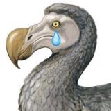 Экологиня - Telegram канал