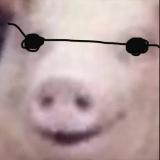 Угарні Свині - Telegram канал