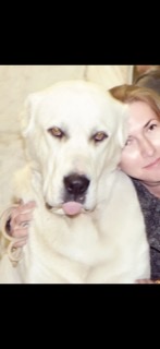 Alabai_my_life - Telegram канал