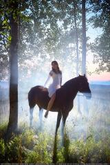 Мир Лошадей - Telegram канал