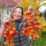 САД 🌳ОГОРОД🫑 ДАЧА🌷 🌺 для души 🌺 - Telegram канал