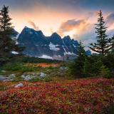 Природа | Красоты со всего Мира - Telegram канал