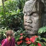 Аптекарский огород МГУ - Telegram канал