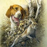 Охота * Рыбалка * Мужская Сталь - Telegram канал