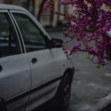 ᴍᴜᴠᴀʜʜɪᴅ ོ - Telegram канал