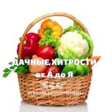 Дачные хитрости от А до Я - Telegram канал