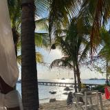 Wine O’Clock - Telegram канал