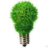 Дачные советы 🏡 - Telegram канал