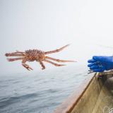 Рыбный Эксперт | Большой Улов - Telegram канал