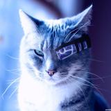 ТехноНаука - Telegram канал