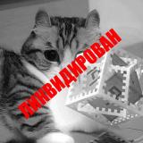 wavacat 📢🔨 - Telegram канал