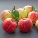 Полезный - Telegram канал