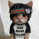 цитаты рэперов - Telegram канал