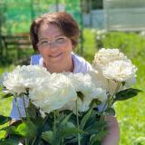 🌺 Пионовый Рай 🌺 - Telegram канал