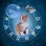 Lixinkkk | Таро | Гороскоп - Telegram канал