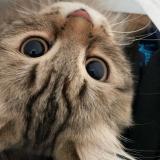 𝙰𝚎𝚜𝚝𝚑𝚎𝚝𝚒𝚌𝚜 - Telegram канал