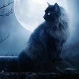 Спасибо деду за Победу! - Telegram канал